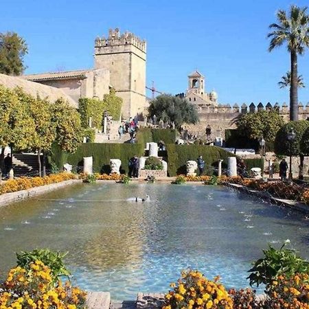 Precioso Loft El Arcangel Junto A La Ribera Кордова Экстерьер фото