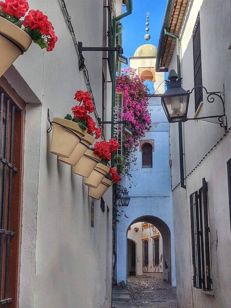 Precioso Loft El Arcangel Junto A La Ribera Кордова Экстерьер фото